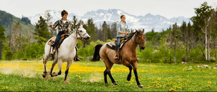 Confident plus-size woman riding Warminster a horse through a field with a smile on her face.